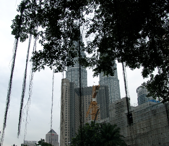 Kuala Lumpur, R/Malaysia/Album2KL/Bild2-1.htmlsiger Urwaldbaum mitten in der Stadt